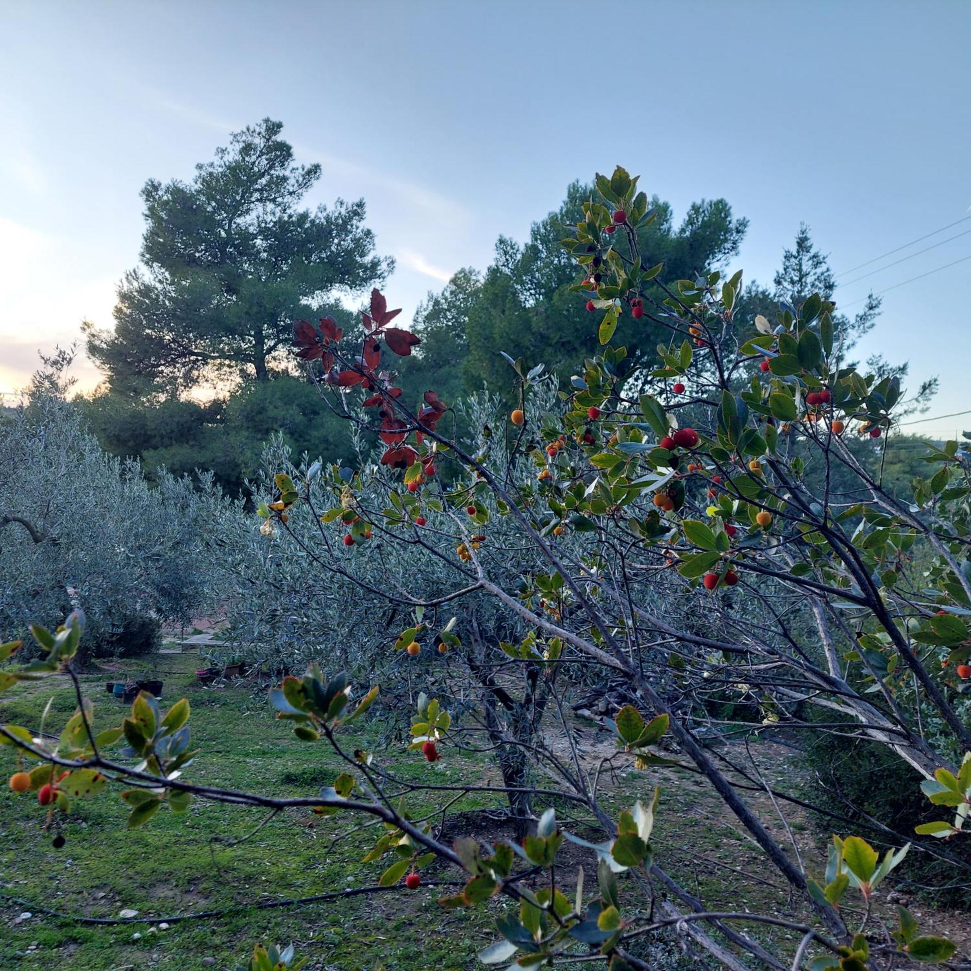 Villa Irini Porto Heli Esterno foto
